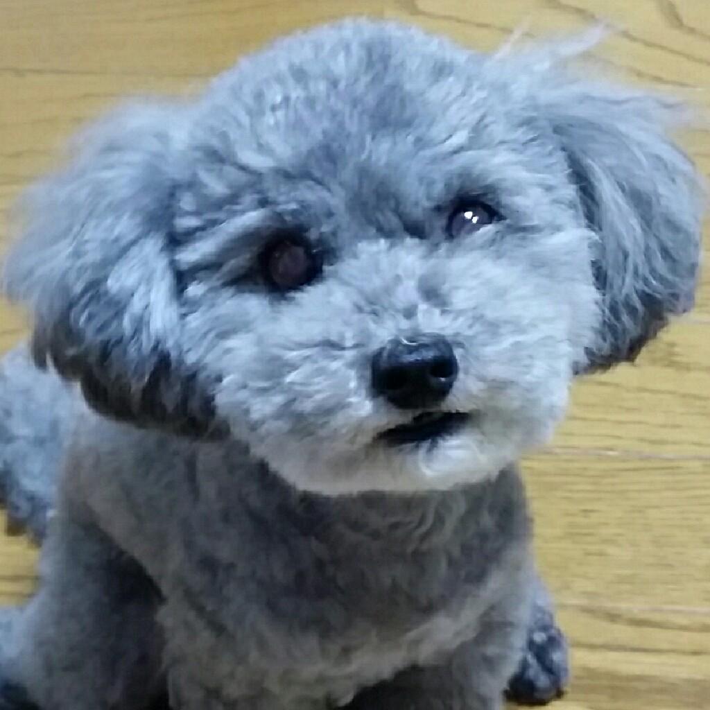 ねぎたく