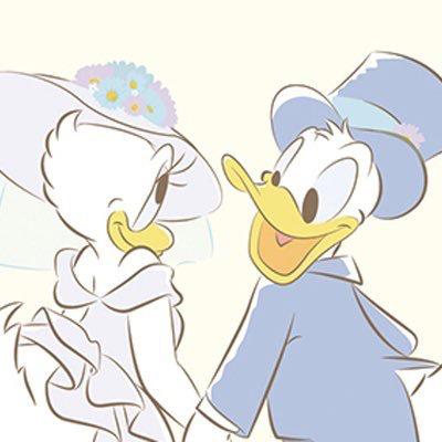 しょこんぬ