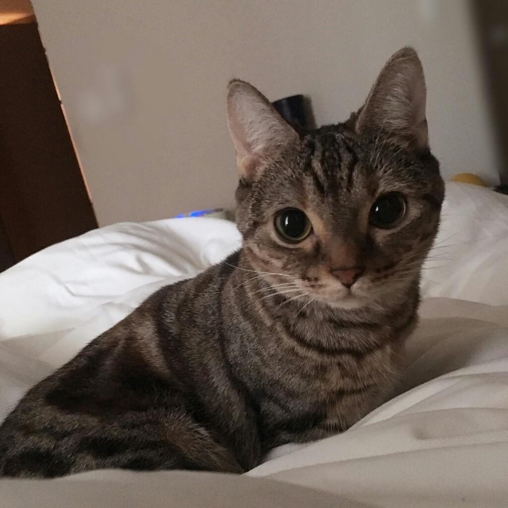 かんたろさん。