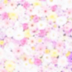 こなつのトーク