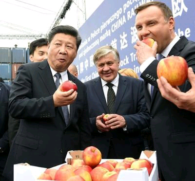zeng