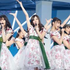 乃木坂ファンのトーク