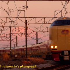 寺澤悟道のトーク