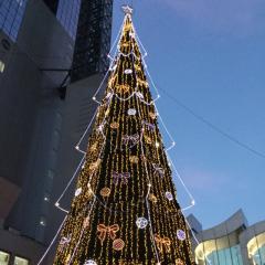 楽しかったな(σ･∀･)σｱﾙｱﾙ