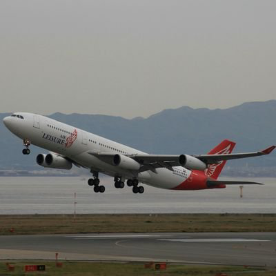 大樹くん@A340-200のトーク