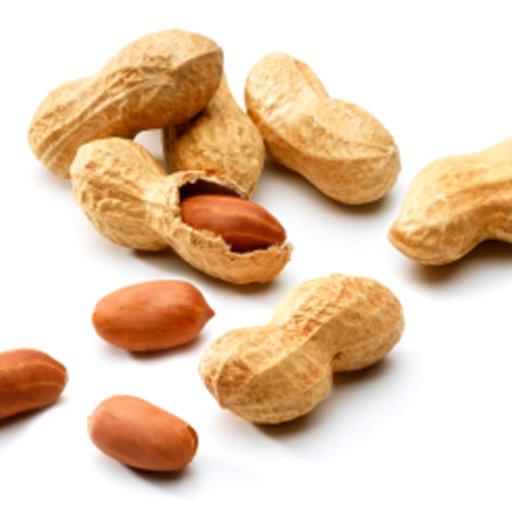 どっこいピーナッツのトーク