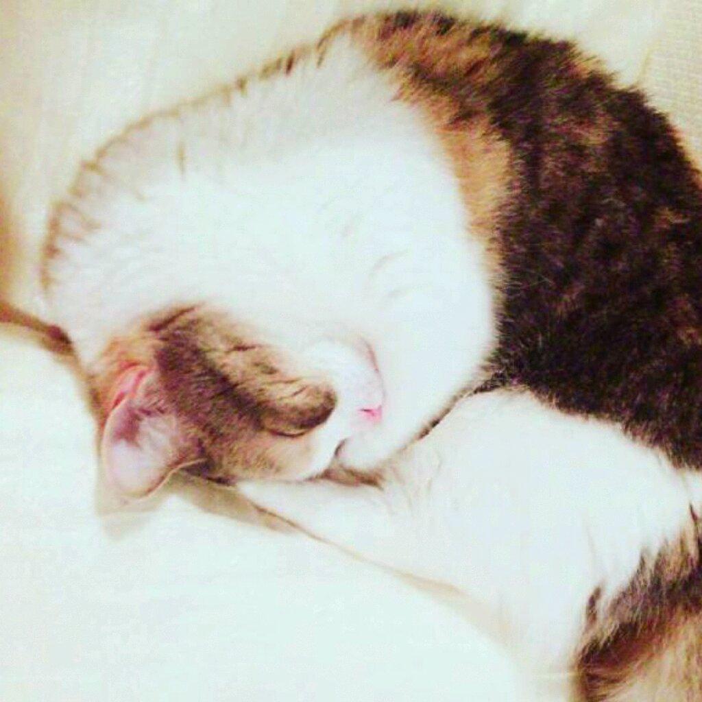 オレンのトーク