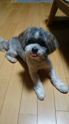 たにやんのトーク