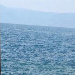 ユウタのトーク