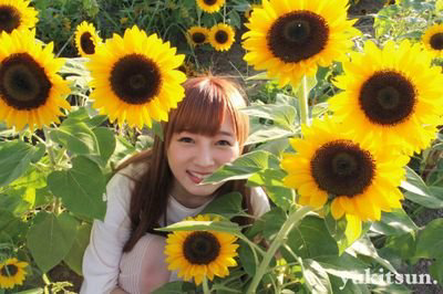てっちゃん