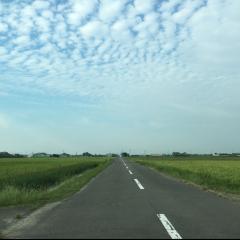 ✨癒しのうた✨