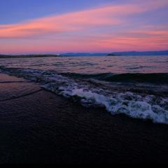 麗しき仲良しの世界