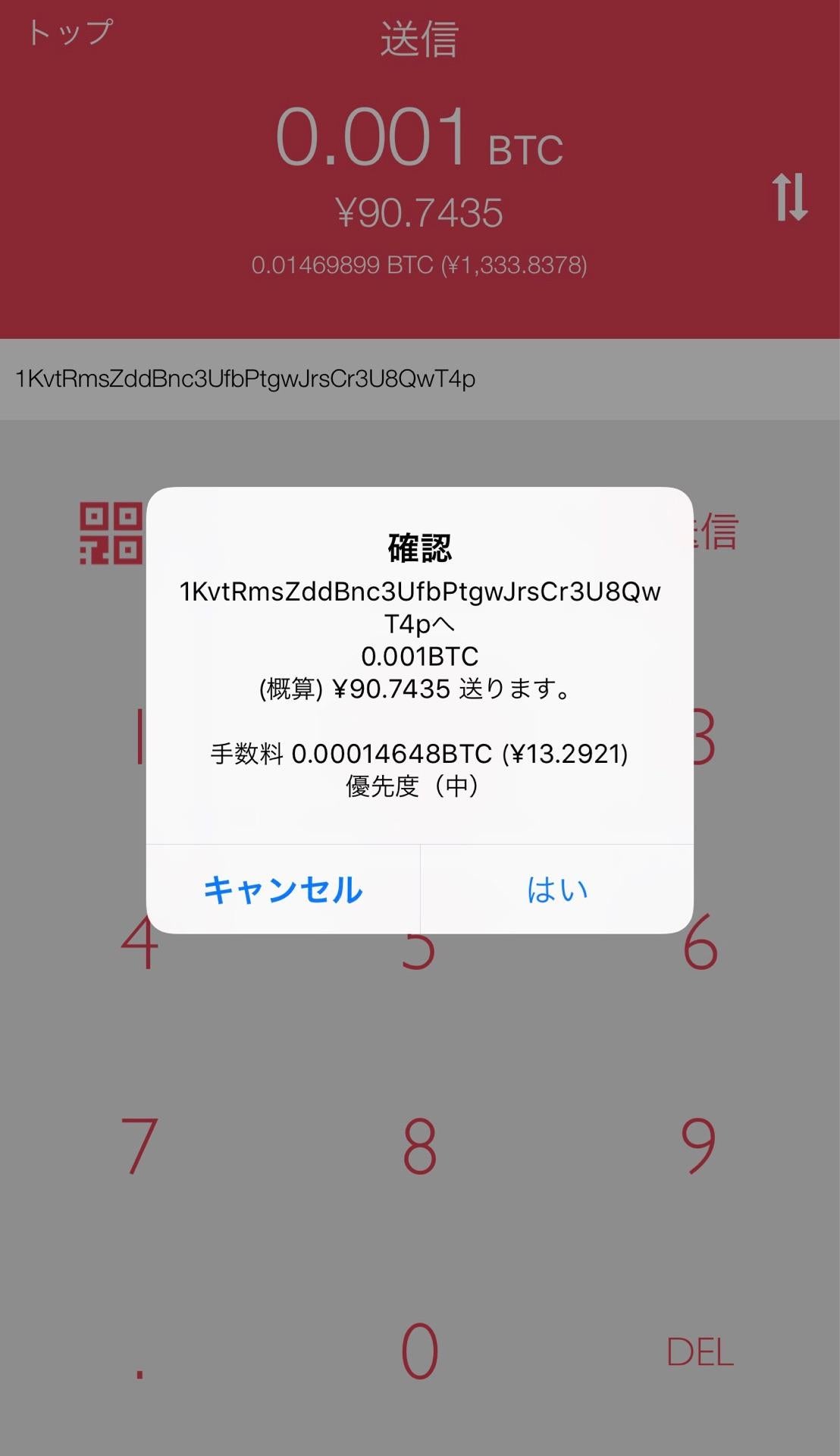 投稿画像