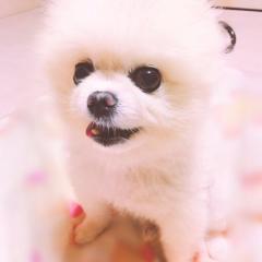 ギガちゃんのトーク