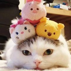 女子らしいトーク？（笑）