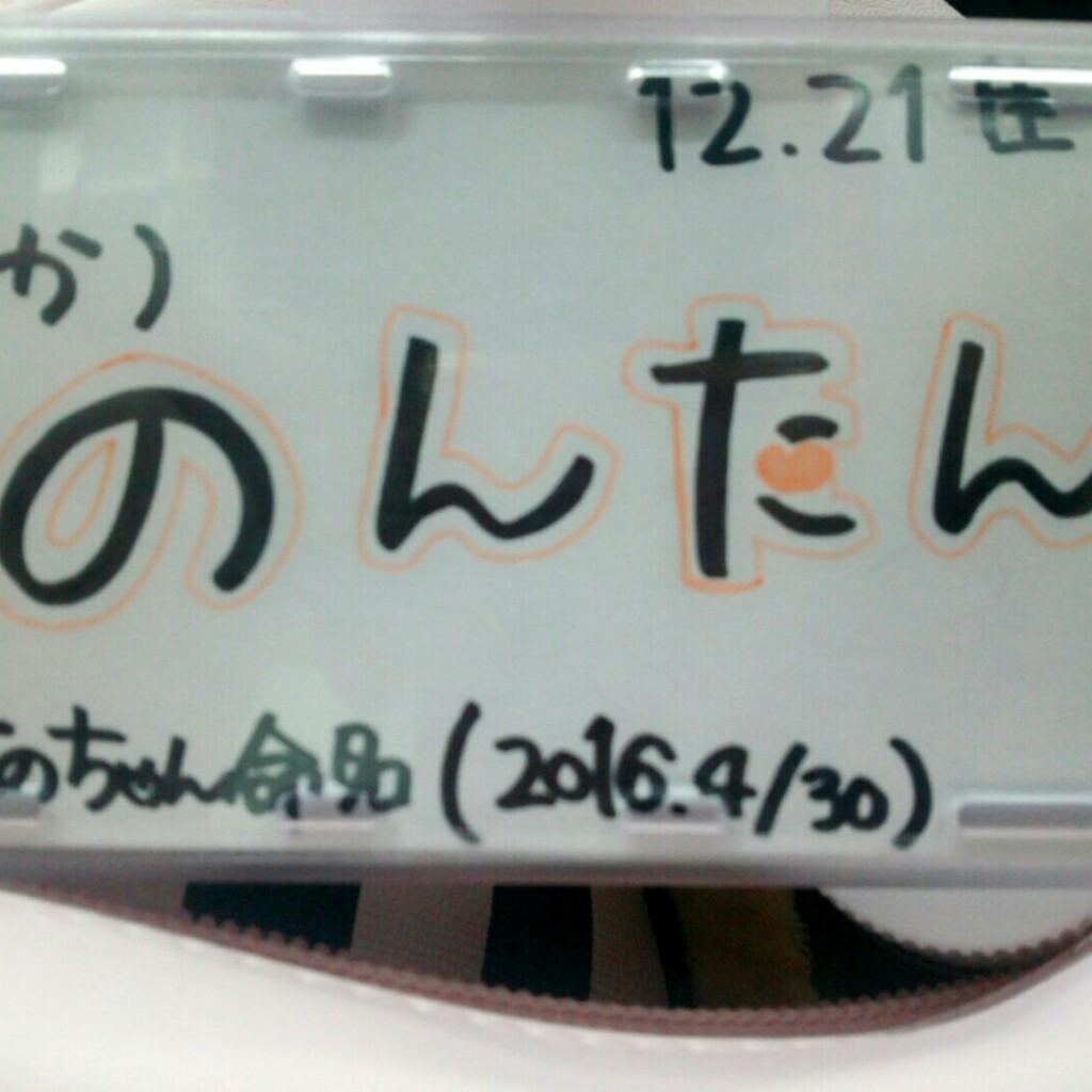 ( か )のんたん