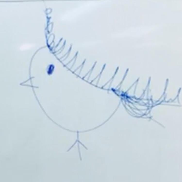 かおるくんからの引用✎*。