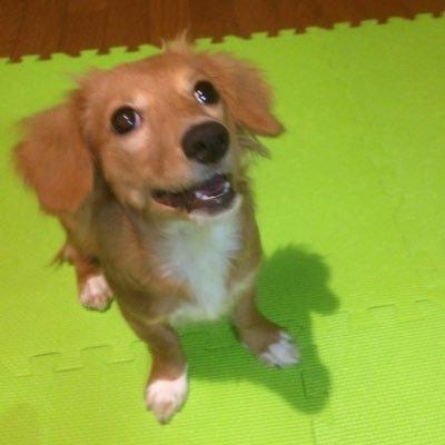 よーじんのトーク
