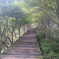 オッキいのトーク