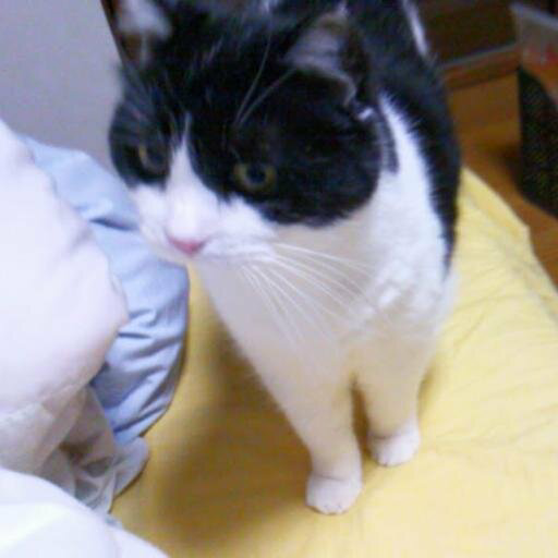 miztarou