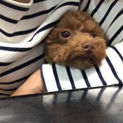 シュウのトーク