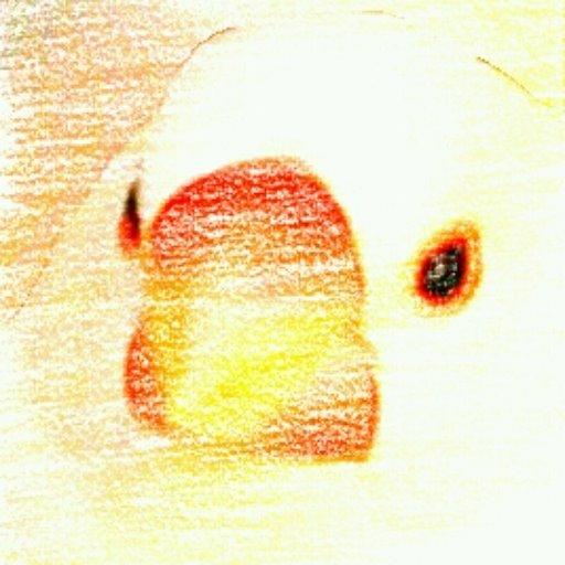 しろふみどり☆