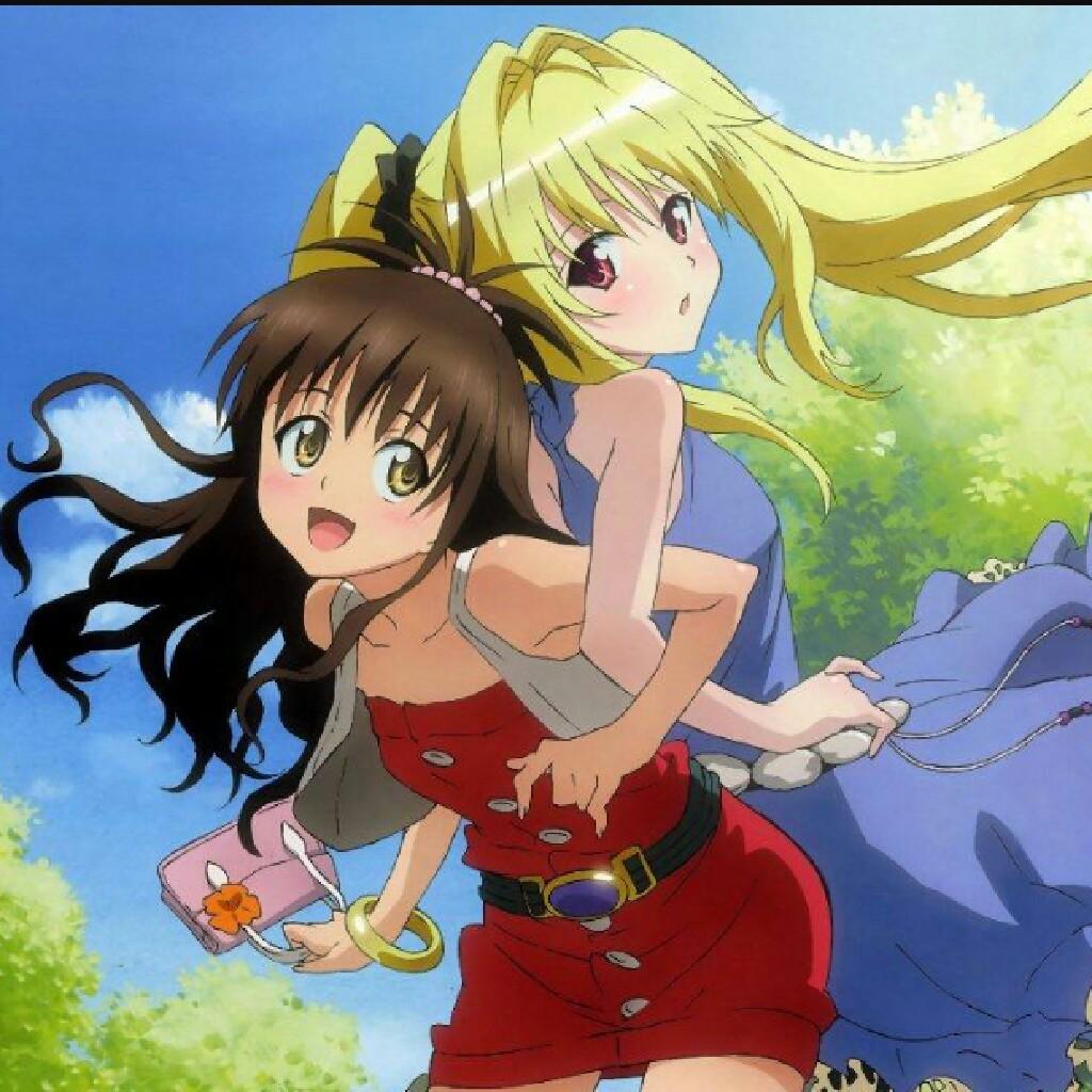 金色の闇🔪&結城美柑🍊talk