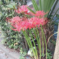 小林光太のトーク