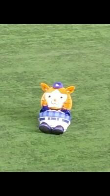 ブラックホッシー⚓