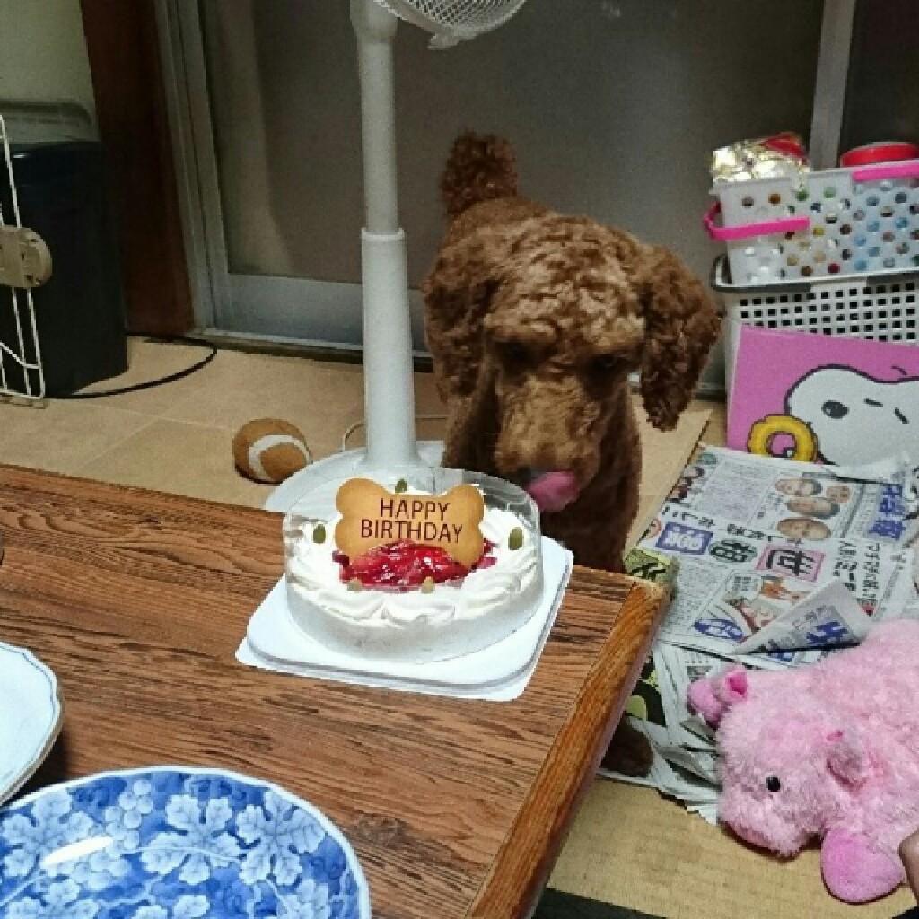 洋昌