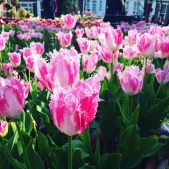 ゆりえ 佐世保バーガー🍔