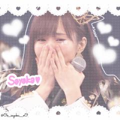 山本めもんぱん