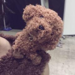 りあるたいむ。