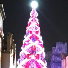 ファンタスティックたこ焼きのトーク