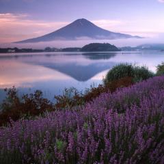 過疎部屋 スタンプ部屋