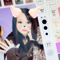 ぴかちゅまるで~す