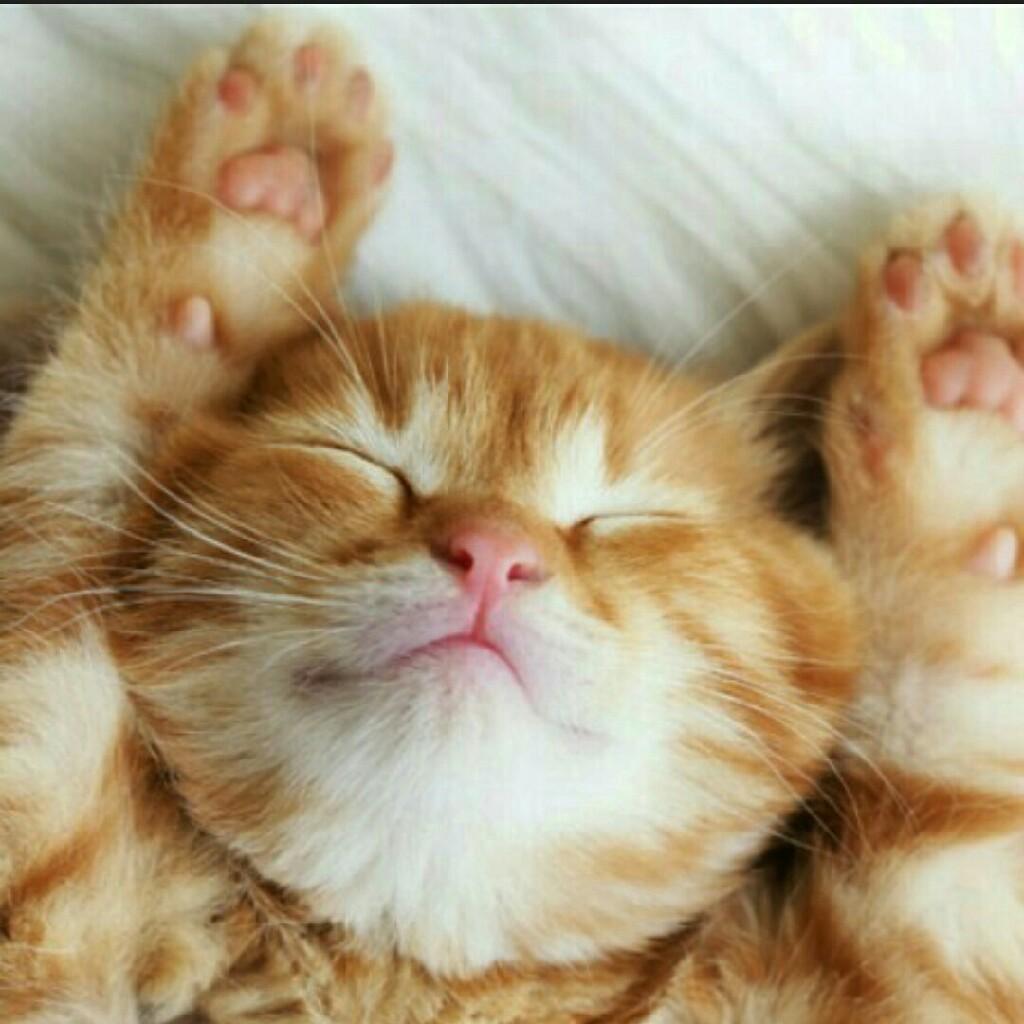 あつしのトーク