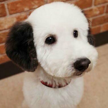 さっちんのトーク