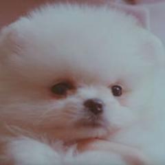 ひろゆき⊿