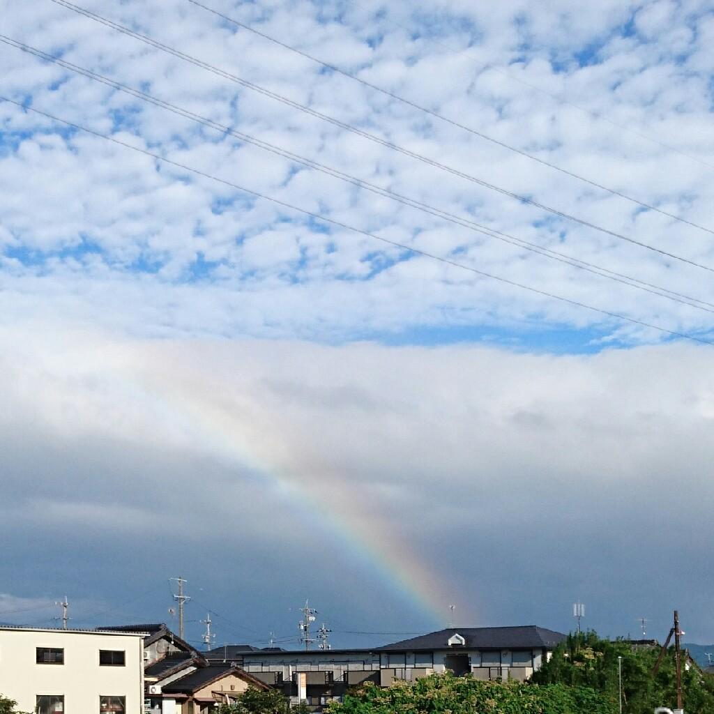 らいせー⊿
