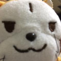 きたじ