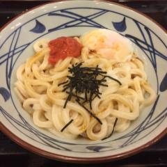 うどん明太子
