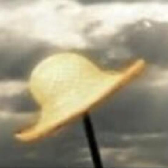シイナ