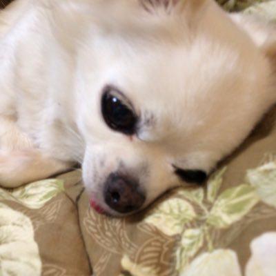 かいりのトーク