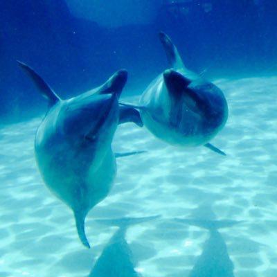 ラムネのトーク