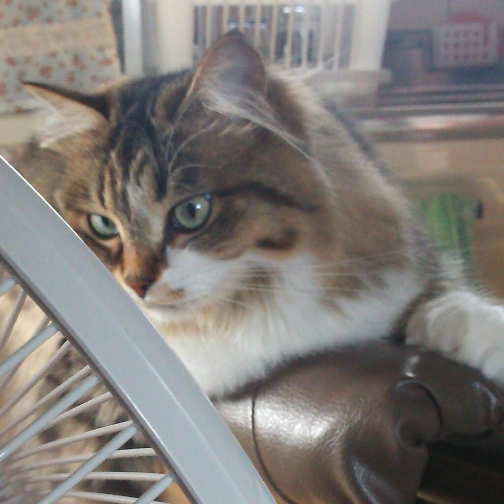 ゆーだいのトーク