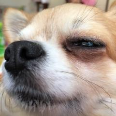 かずぽん( ˙-˙ )