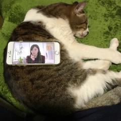ゆうや