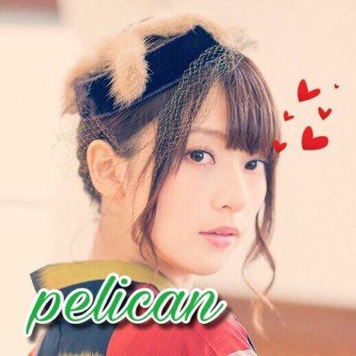 ペリカン◢