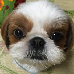 熊谷アキラのトーク